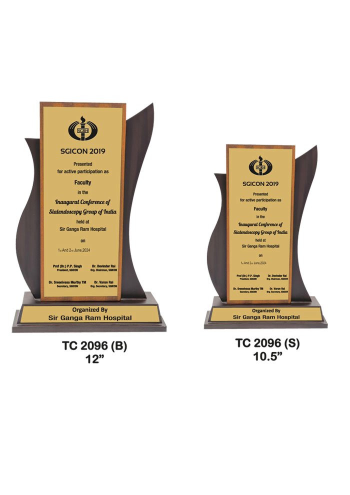 Wooden Trophy Trophy in Delhi