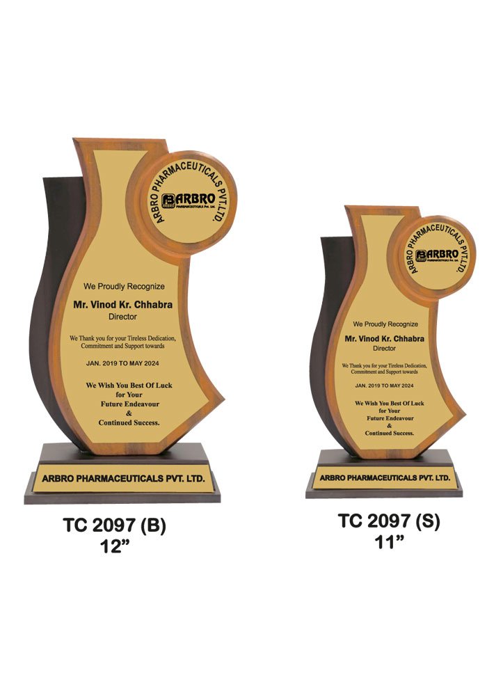 Wooden Trophy Trophy in Delhi