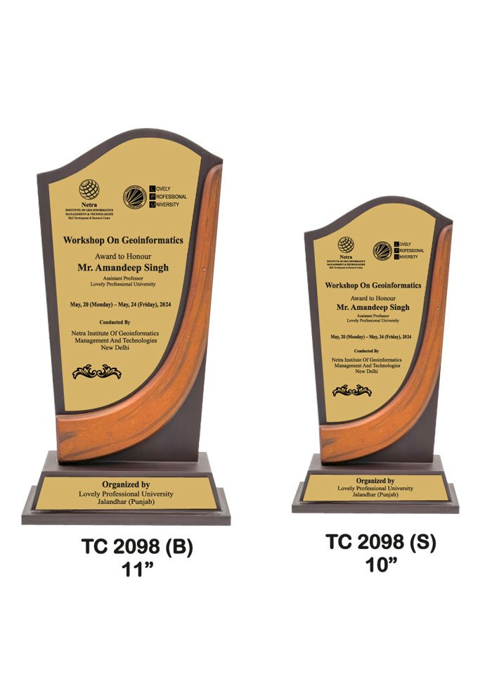 Wooden Trophy Trophy in Delhi