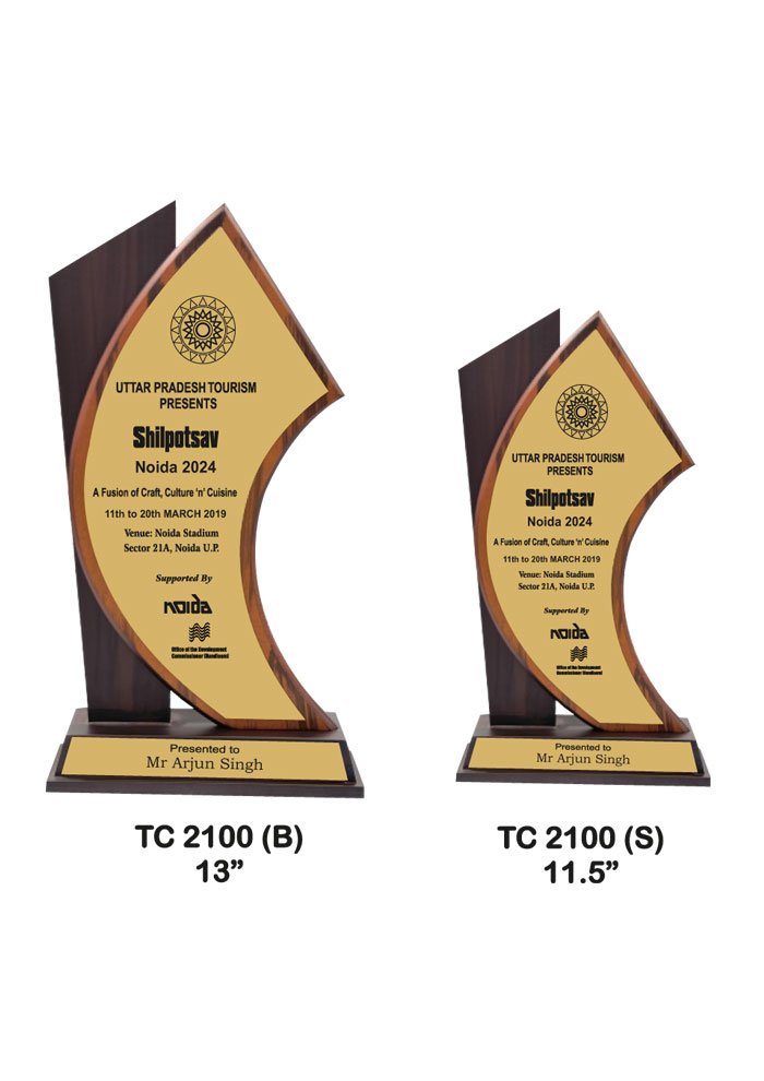 Wooden Trophy Trophy in Delhi
