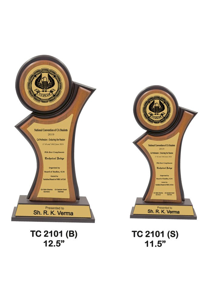 Wooden Trophy Trophy in Delhi