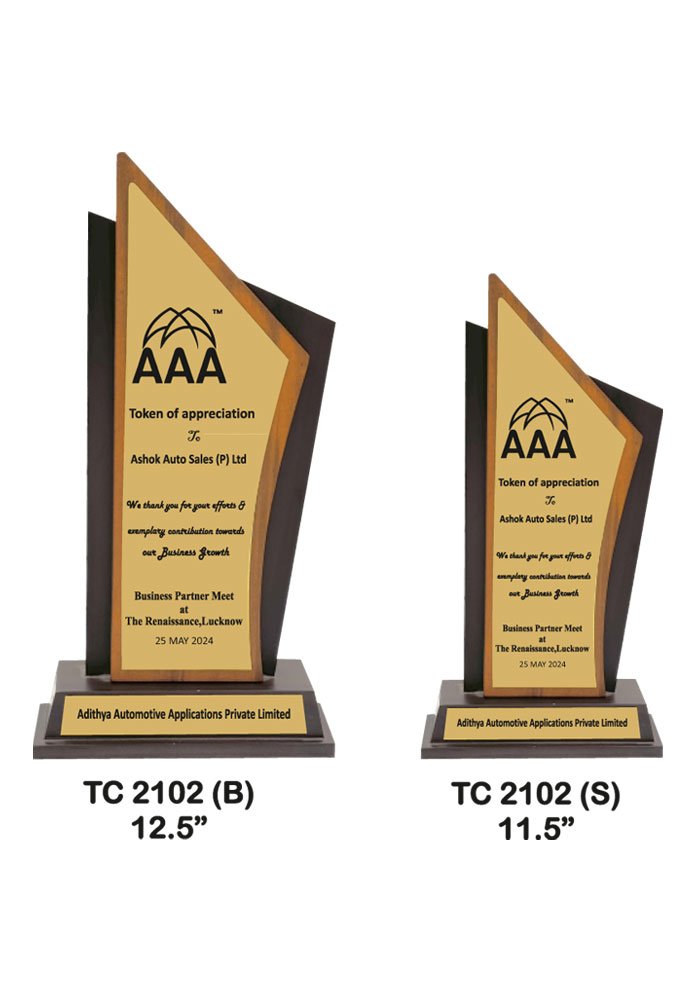 Wooden Trophy Trophy in Delhi