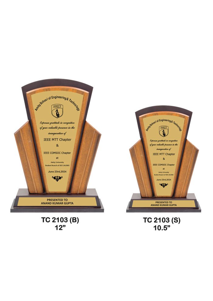 Wooden Trophy Trophy in Delhi