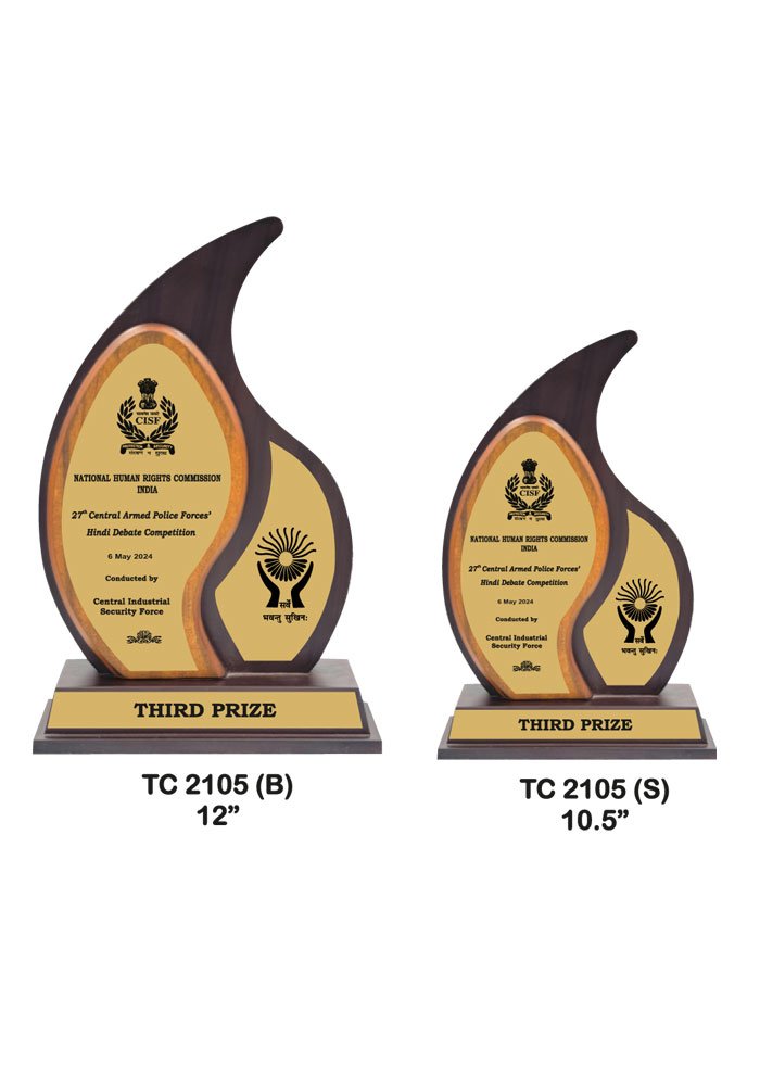 Wooden Trophy Trophy in Delhi
