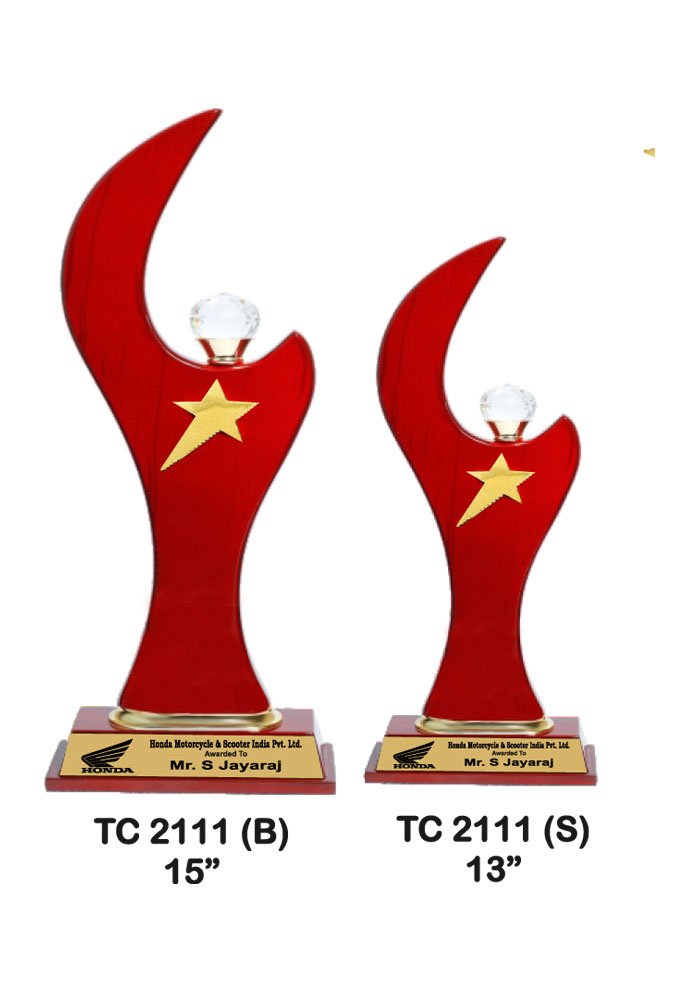 Wooden Trophy Trophy in Delhi