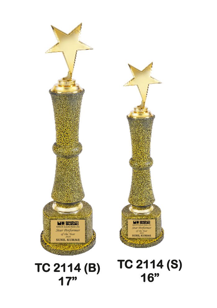 Wooden Trophy Trophy in Delhi