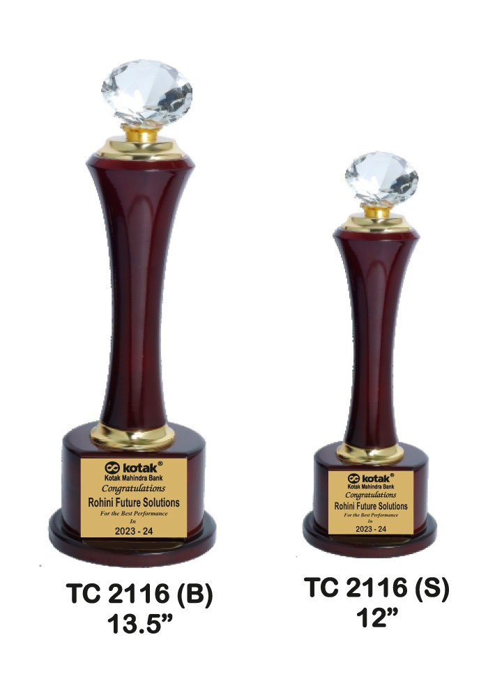 Trophy Supplier in Prayagraj