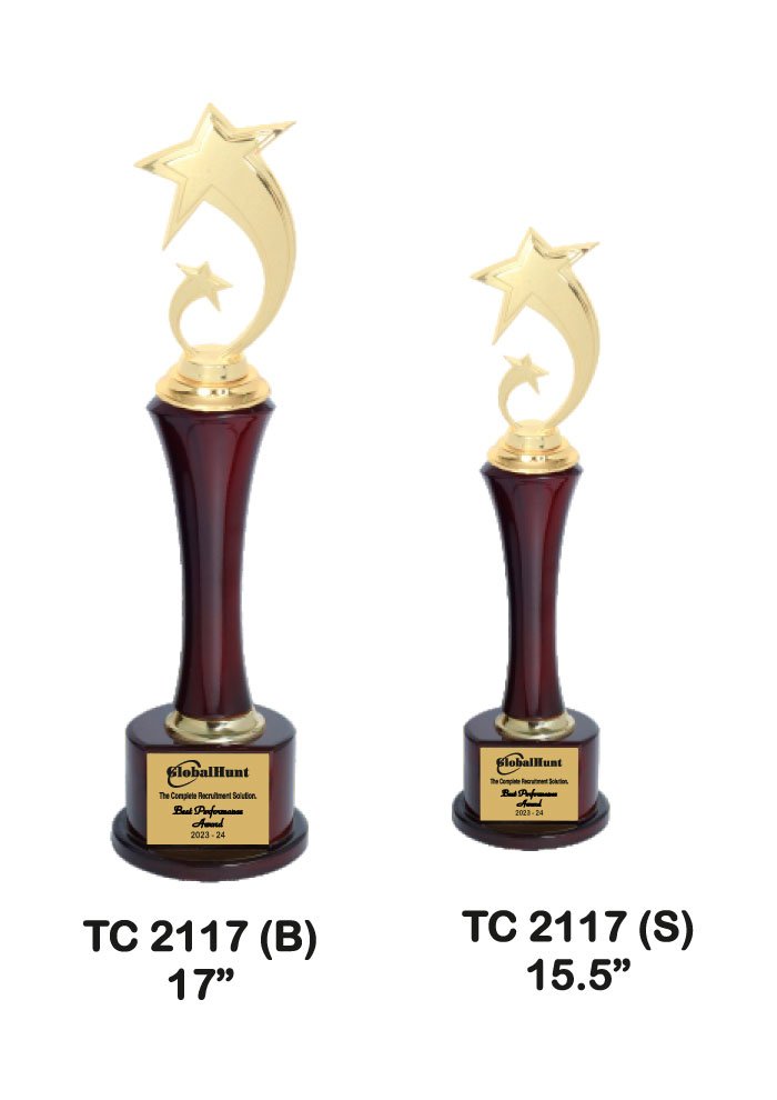 Wooden Trophy Trophy in Delhi