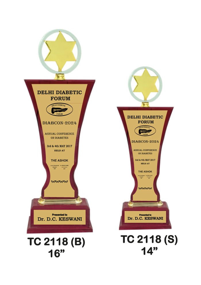 Wooden Trophy Trophy in Delhi