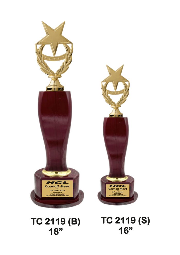 Customized medals Manufacturer in Delhi