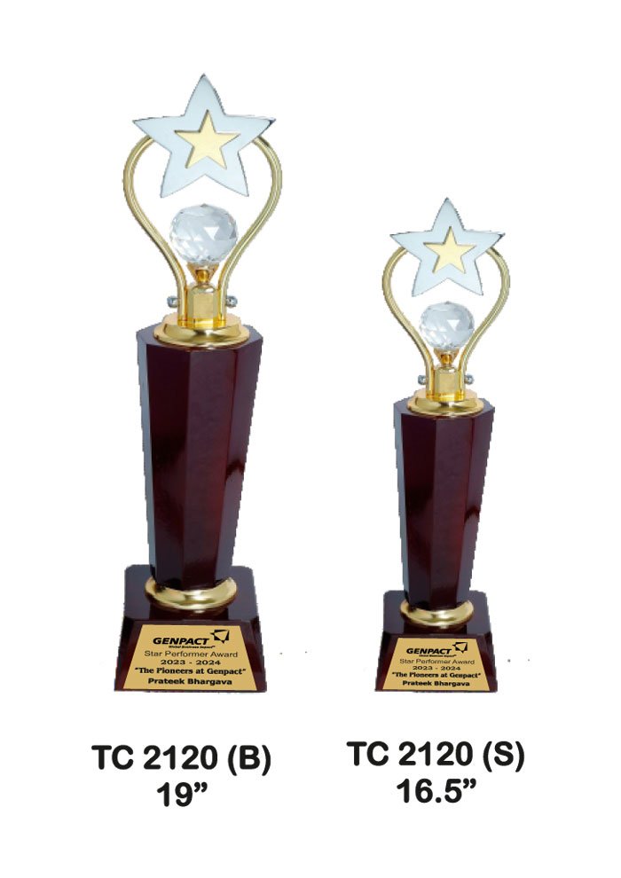 Trophy Manufacturer Shop Delhi